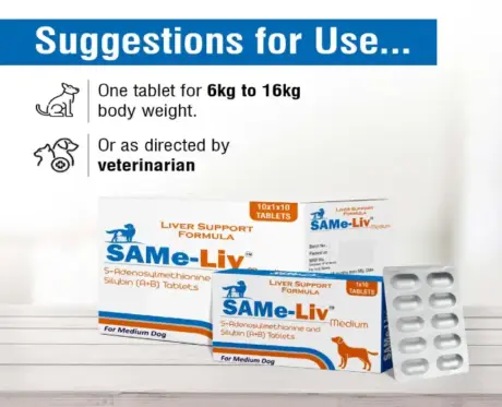 Same Liv Medium Tablets for Liver Support PetMedicine.co