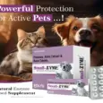Ecora MPS Small Zyme Tablets for Dogs and Cats PetMedicine.co