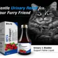 Ecora MPS Urinary Care Syrup for Dogs & Cats PetMedicine.co