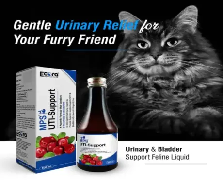 Ecora MPS Urinary Care Syrup for Dogs & Cats PetMedicine.co