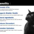 UTI Support Syrup for Pets 100ml at PetMedicine.co