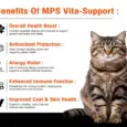 Vita Support Syrup for Pets atPetMedicine.co