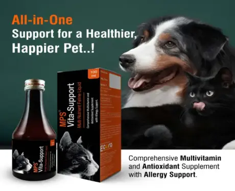 Ecora MPS Vita Support Syrup 100ml for Dogs and Cats PetMedicine.co
