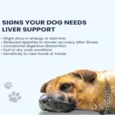 Fur Ball Story Liv Paw 100ml Liver Supplement for Dogs PetMedicine.co
