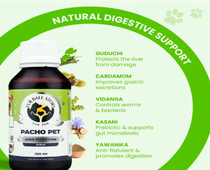 Fur Ball Story Pacho Pet stomach relief for pets PetMedicine.co