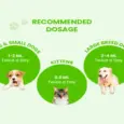 Fur Ball Story Pacho Pet Pro digestive care for cats and dogs PetMedicine.co
