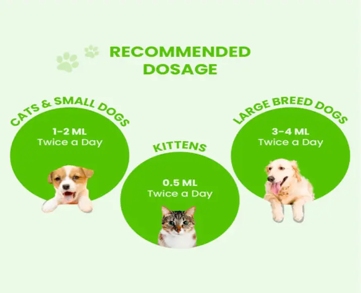 Fur Ball Story Pacho Pet Pro digestive care for cats and dogs PetMedicine.co