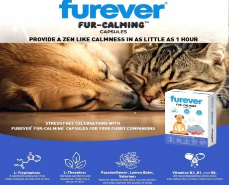 Furever Fur Calming Tablets for Pets at PetMedicine.co