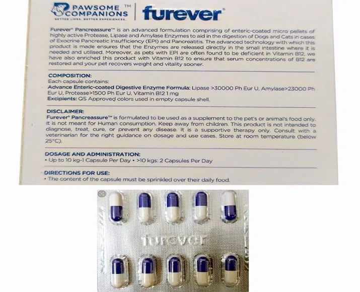 Furever Pancreassure Digestive Support for Pets PetMedicine.co