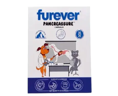Furever Pancreassure Capsules for Dogs & Cats PetMedicine.co