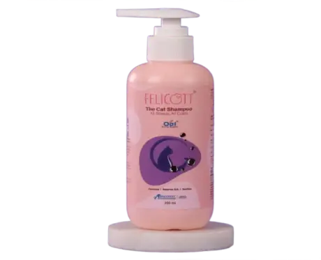 Intas Felicott Cat Shampoo 200ml for healthy coat PetMedicine.co