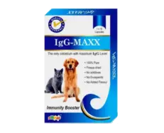 MPS IgG Maxx for Dogs and Cats 20 Capsules PetMedicine.co