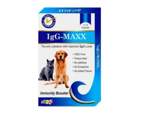 MPS IgG Maxx for Dogs and Cats 20 Capsules PetMedicine.co