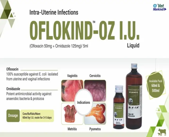 Mankind Oflokind OZ 60ml Veterinary Antibiotic for Livestock PetMedicine.co