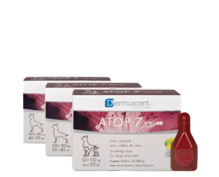 Savavet Dermoscent Atop 7 Small Spot On for Dogs 0-10kg PetMedicine.co