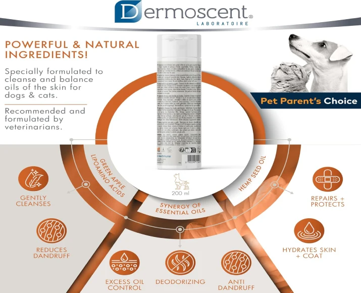 Savavet Dermoscent Essential 6 Sebo Shampoo 200 ML PetMedicine.co