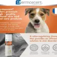 Savavet Dermoscent Essential 6 Sebo Shampoo for Oily Skin in Pets PetMedicine.co