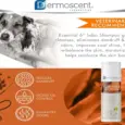 Savavet Dermoscent Essential 6 Sebo Shampoo for Oily Skin in Pets PetMedicine.co
