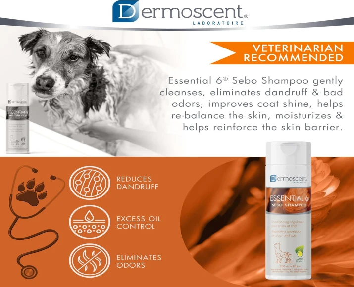 Savavet Dermoscent Essential 6 Sebo Shampoo for Oily Skin in Pets PetMedicine.co