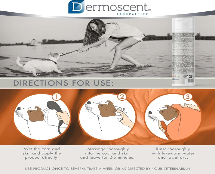 Savavet Dermoscent Essential 6 Sebo Shampoo for Oily Skin in Pets PetMedicine.co