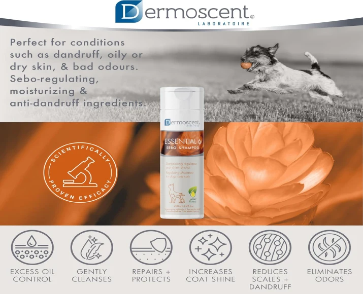 Savavet Dermoscent Essential 6 Sebo Shampoo for Oily Skin in Pets PetMedicine.co