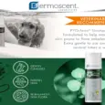 Savavet Dermoscent Pyoclean Shampoo for Sensitive Skin Dogs Cats PetMedicine.co