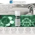 Savavet Dermoscent Pyoclean Shampoo for Sensitive Skin Dogs Cats PetMedicine.co
