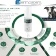 Savavet Dermoscent Pyoclean Spray atPetMedicine.co