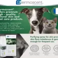 Savavet Dermoscent Pyoclean Spray atPetMedicine.co