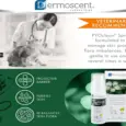Savavet Dermoscent Pyoclean Spray Skin Care for Pets PetMedicine.co