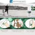 Savavet Dermoscent Pyoclean Spray Skin Care for Pets PetMedicine.co