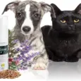 Savavet Dermoscent Pyoclean Spray Skin Care for Pets PetMedicine.co