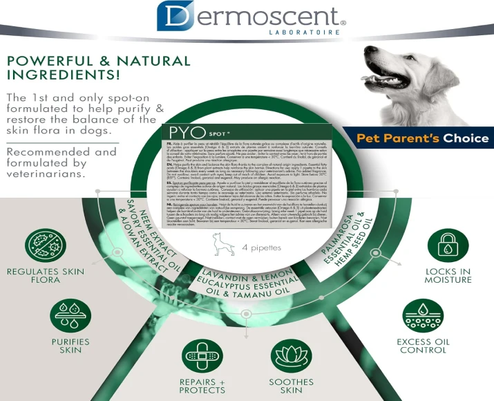 Savavet Dermoscent Pyospot Large for Dogs 20-40kg PetMedicine.co