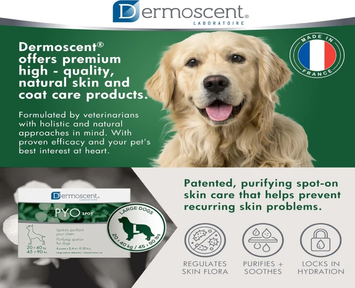 Savavet Dermoscent Pyospot Large Spot-On for Dogs PetMedicine.co