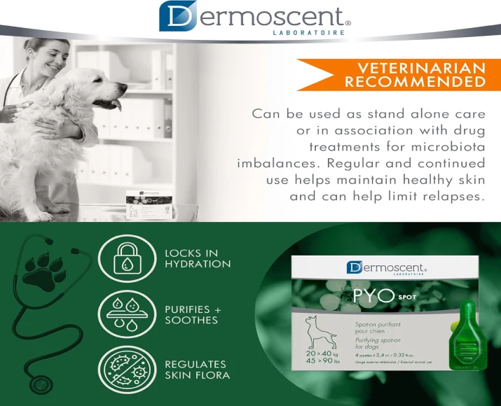 Savavet Dermoscent Pyospot Large Spot-On for Dogs PetMedicine.co