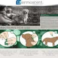 Savavet Dermoscent Pyospot Large Spot-On for Dogs PetMedicine.co