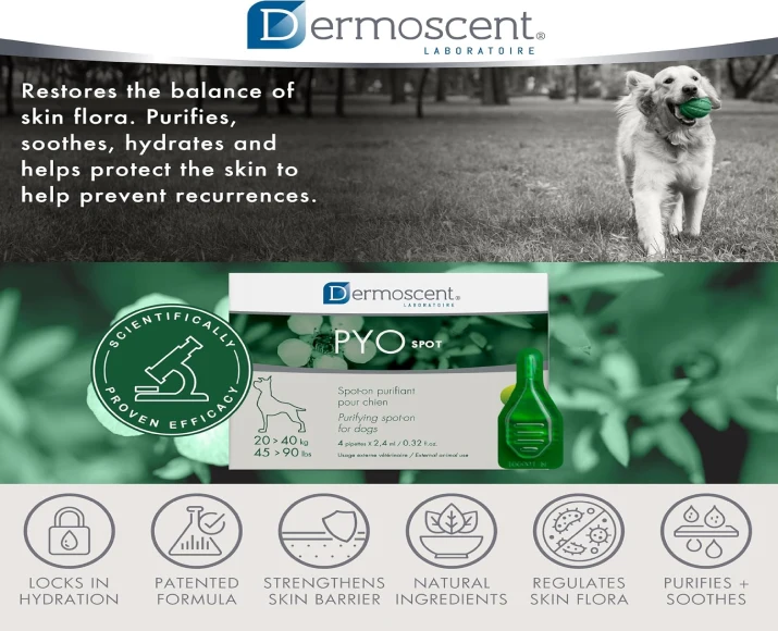 Savavet Dermoscent Pyospot Large Spot-On for Dogs PetMedicine.co