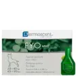 Savavet Dermoscent Pyospot Large Dogs 20-40kg 2.4ml 4 Pipette PetMedicine.co