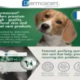 Dermoscent Pyospot Medium spot on for dogs PetMedicine.co