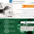 Dermoscent Pyospot Medium spot on for dogs PetMedicine.co