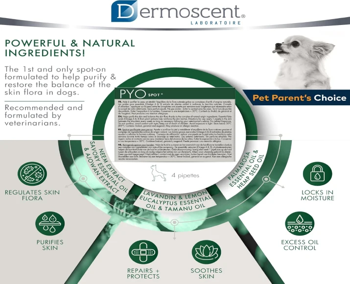 Savavet Dermoscent Pyospot Small 0–10kg for Dogs at PetMedicine.co