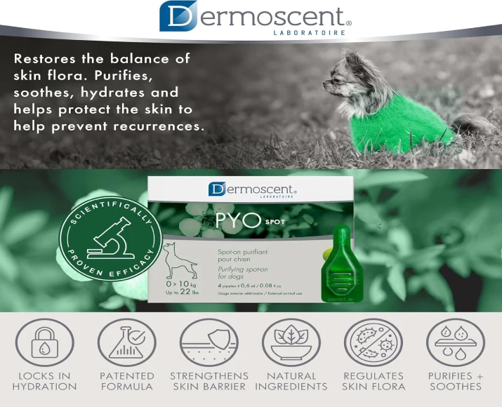Savavet Dermoscent Pyospot Small for Dogs 0 to 10kg PetMedicine.co