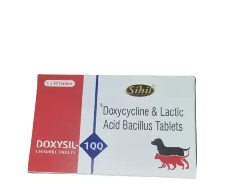 Sihil Doxysil 100 MG Doxycycline Tablets for Dogs and Cats PetMedicine.co
