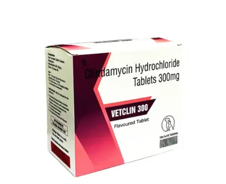 Sihil Vetclin 300 MG Clindamycin Tablets for Dogs and Cats at PetMedicine.co
