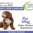 Herbal stress relief liquid for pets Aimil Pet Bliss PetMedicine.co