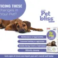 Aimil Pet Bliss anxiety relief supplement for dogs cats PetMedicine.co