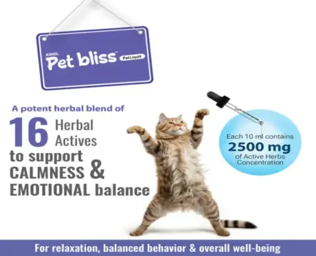 Aimil Pet Bliss anxiety relief supplement for dogs cats PetMedicine.co