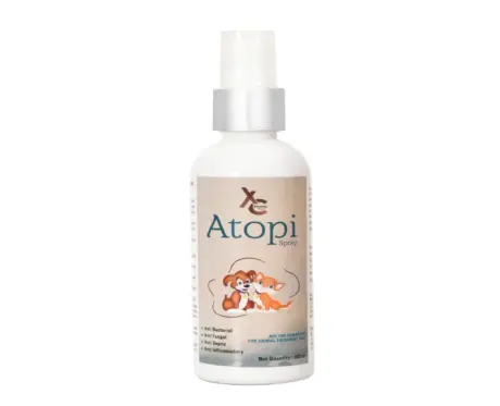 Atopi Spray for Dogs and Cats 100ml PetMedicine.co 2