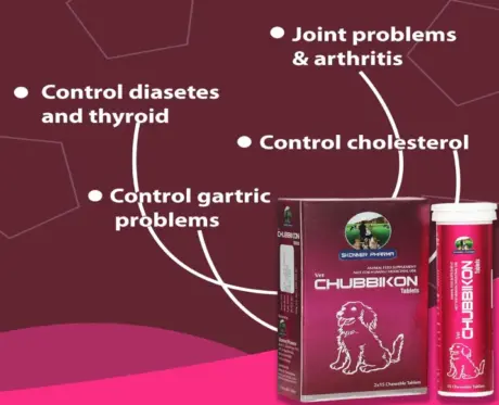 Chubbikon Multivitamins for Dogs and Cats PetMedicine.co 2