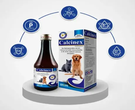 Ecora Calcinex Pet Calcium Syrup for Dogs and Cats PetMedicine.co